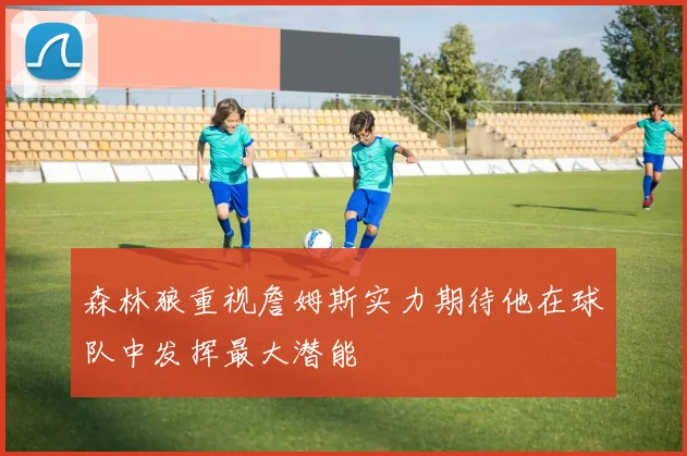 森林狼重视詹姆斯实力期待他在球队中发挥最大潜能