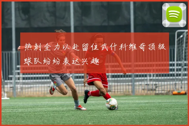 热刺全力以赴留住武什科维奇顶级球队纷纷表达兴趣